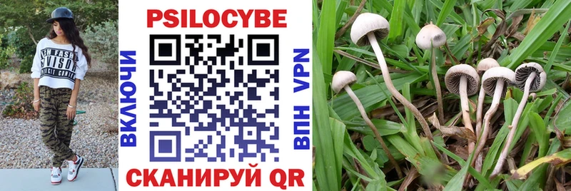 цены наркотик  Конаково  Галлюциногенные грибы Psilocybine cubensis 